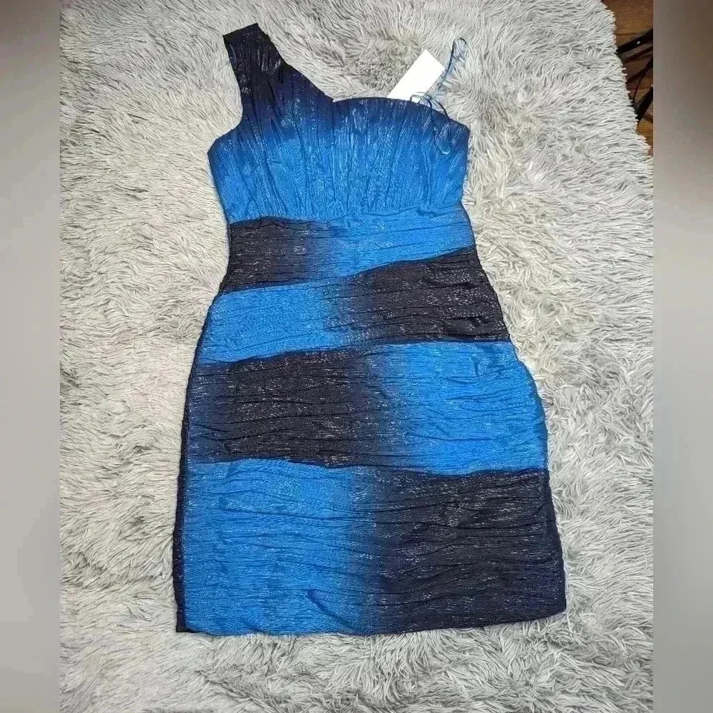 max and cleo dress women's size 4 NWT msrp $168.00 "KAREN" color strlitbluec